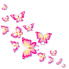 Różowe motyle