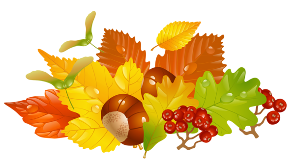 Rysunek jesiennych owoców - żołędzie, jarzębina, liście