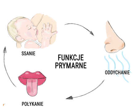 Diagram funkcje prymarne