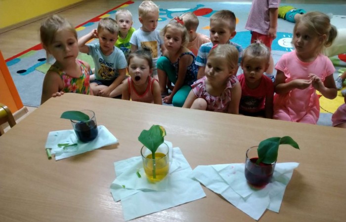 Mały naukowiec, Kino współczesne, Kino dawniej