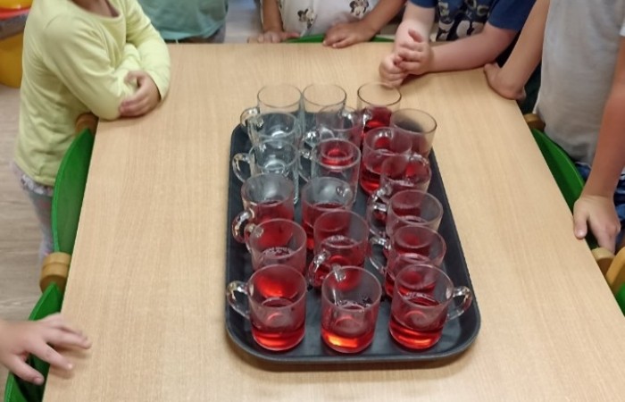 Wiem co jem! - Zdrowi na wakacjach